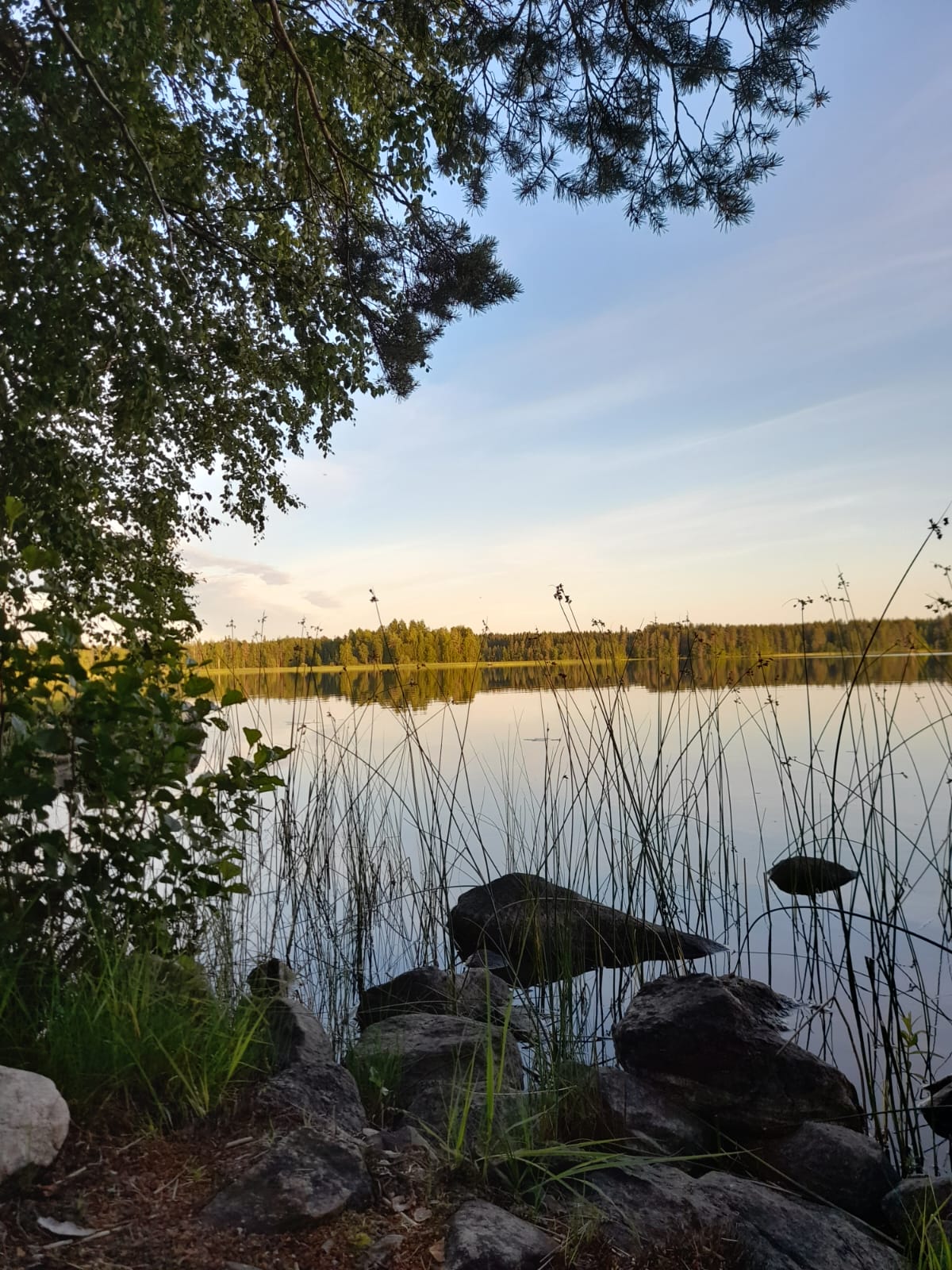 Rantakuva kesältä
